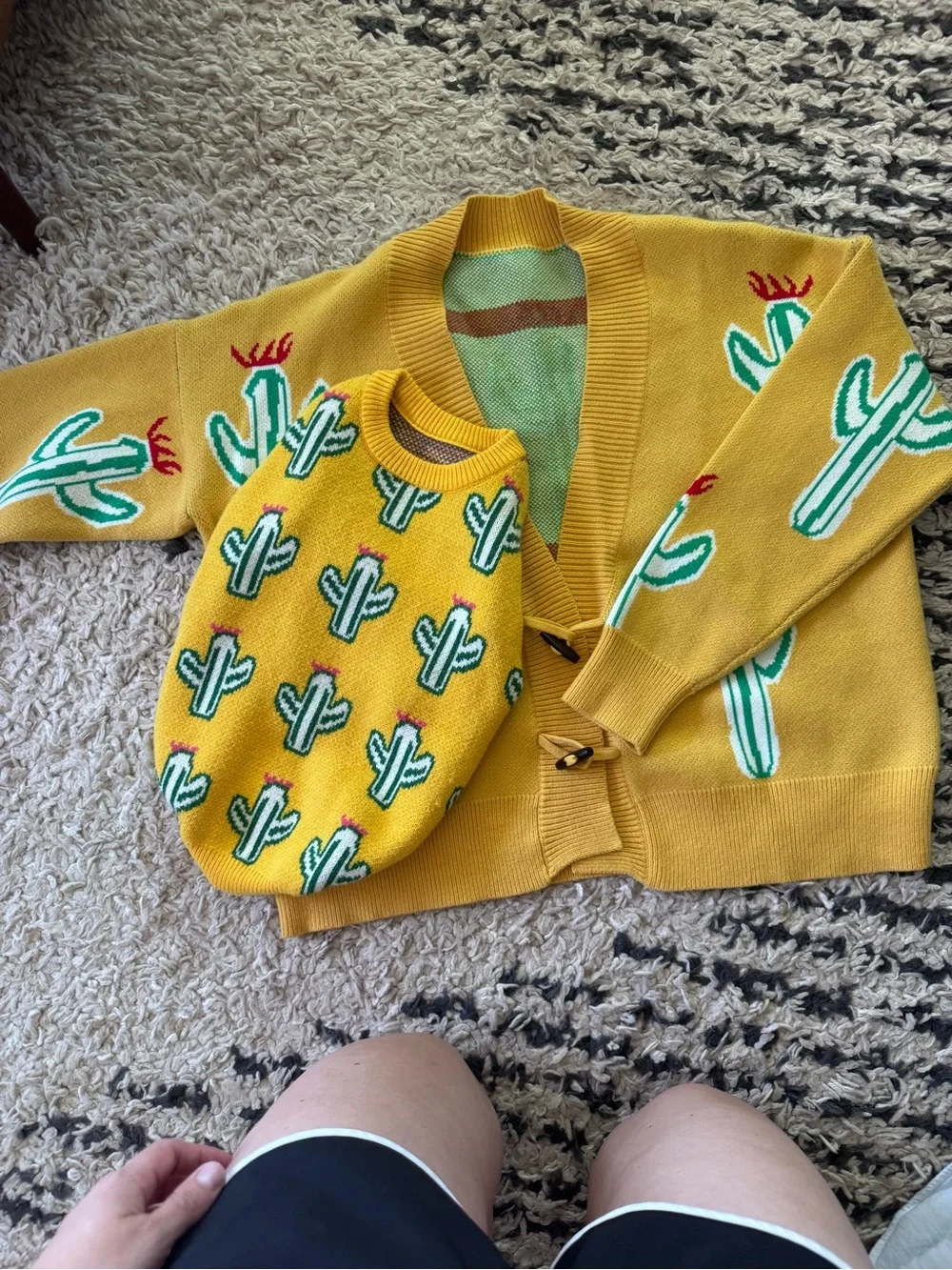 Matching Pet and Person cactus sweaters